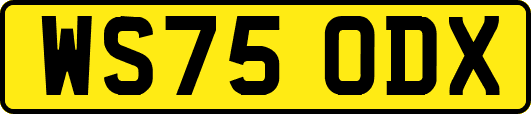 WS75ODX