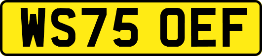 WS75OEF