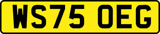 WS75OEG