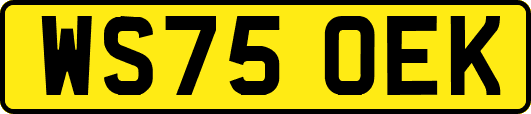 WS75OEK
