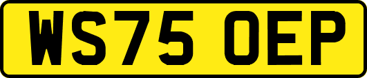 WS75OEP