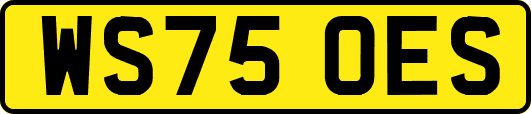 WS75OES