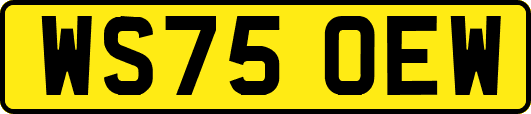 WS75OEW