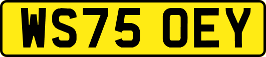 WS75OEY