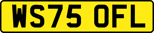 WS75OFL