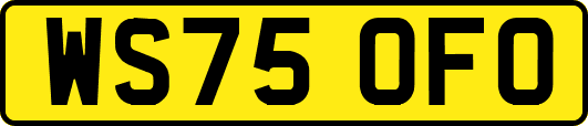 WS75OFO