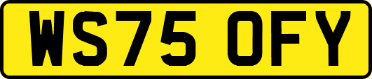 WS75OFY