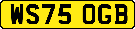 WS75OGB