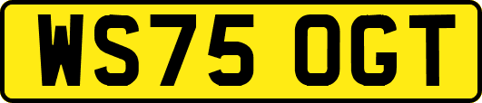 WS75OGT