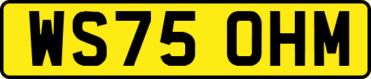 WS75OHM