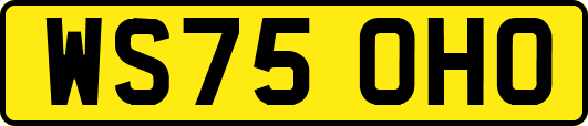 WS75OHO