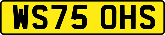 WS75OHS