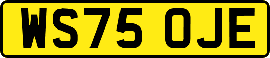 WS75OJE