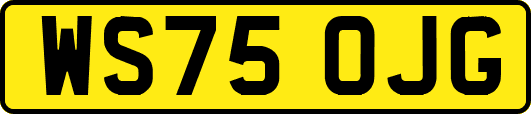 WS75OJG