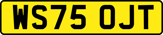 WS75OJT