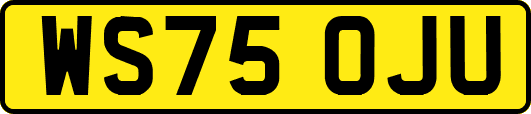 WS75OJU