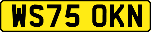WS75OKN