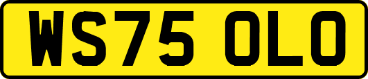 WS75OLO