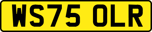 WS75OLR