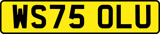 WS75OLU