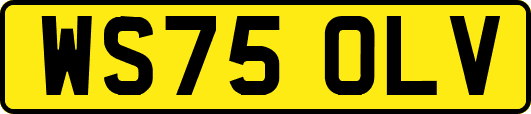 WS75OLV