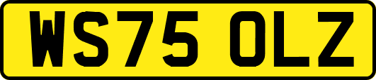 WS75OLZ