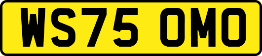 WS75OMO