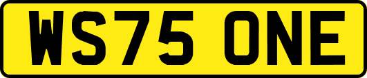 WS75ONE