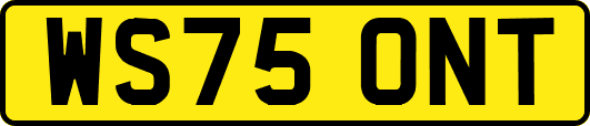 WS75ONT