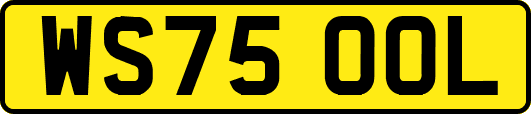 WS75OOL