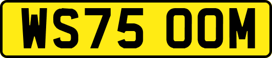 WS75OOM