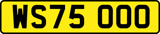 WS75OOO