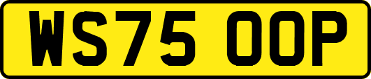 WS75OOP