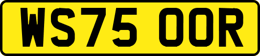 WS75OOR