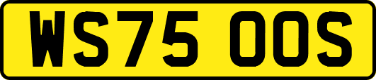 WS75OOS