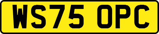WS75OPC