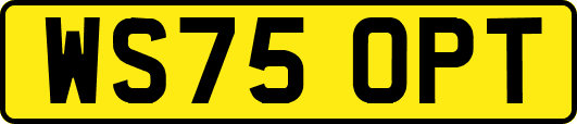 WS75OPT