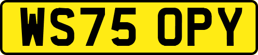 WS75OPY
