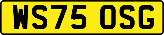 WS75OSG