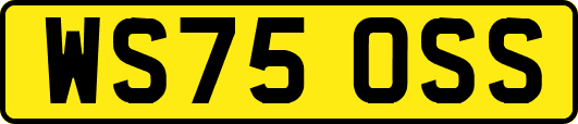 WS75OSS