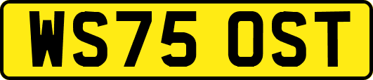 WS75OST