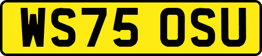 WS75OSU