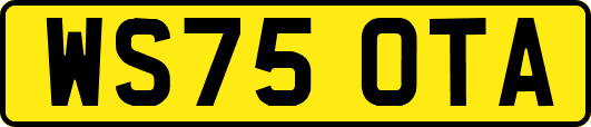 WS75OTA