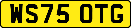 WS75OTG