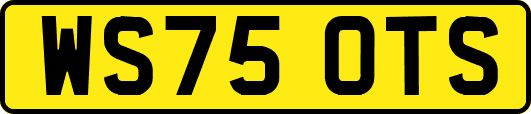 WS75OTS