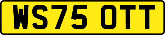 WS75OTT