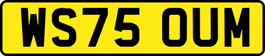WS75OUM