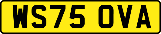 WS75OVA