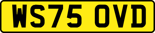 WS75OVD