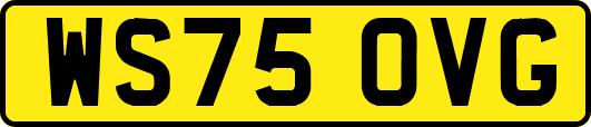 WS75OVG